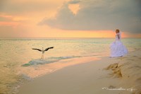 Фото невесты и птицы