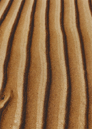 фото морской песок отлив